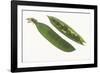 Peas in a Pod-DLILLC-Framed Photographic Print