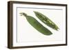 Peas in a Pod-DLILLC-Framed Photographic Print