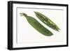 Peas in a Pod-DLILLC-Framed Photographic Print