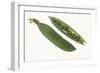 Peas in a Pod-DLILLC-Framed Photographic Print