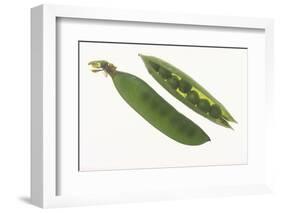 Peas in a Pod-DLILLC-Framed Photographic Print