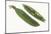 Peas in a Pod-DLILLC-Mounted Photographic Print