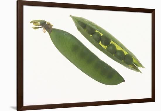 Peas in a Pod-DLILLC-Framed Photographic Print