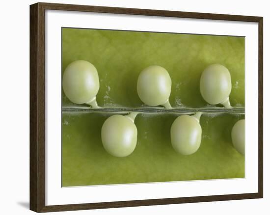 Peas in a Pod-Rogge & Jankovic-Framed Photographic Print