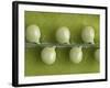 Peas in a Pod-Rogge & Jankovic-Framed Photographic Print