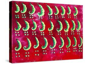 Peas on a Red Background, 2003-Julie Nicholls-Stretched Canvas