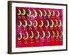 Peas on a Red Background, 2003-Julie Nicholls-Framed Premium Giclee Print