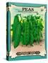 Peas Seed Packet-Lantern Press-Stretched Canvas