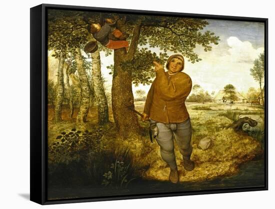 Peasant and the Nest Robber-Pieter Bruegel the Elder-Framed Stretched Canvas