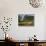 Peasant Farmer Ploughing Field with His Two Oxen, Vinales, Pinar Del Rio Province, Cuba-Eitan Simanor-Photographic Print displayed on a wall