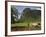 Peasant Farmer Ploughing Field with His Two Oxen, Vinales, Pinar Del Rio Province, Cuba-Eitan Simanor-Framed Photographic Print