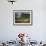 Peasant Farmer Ploughing Field with His Two Oxen, Vinales, Pinar Del Rio Province, Cuba-Eitan Simanor-Framed Photographic Print displayed on a wall