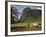 Peasant Farmer Ploughing Field with His Two Oxen, Vinales, Pinar Del Rio Province, Cuba-Eitan Simanor-Framed Photographic Print