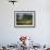 Peasant Farmer Ploughing Field with His Two Oxen, Vinales, Pinar Del Rio Province, Cuba-Eitan Simanor-Framed Photographic Print displayed on a wall