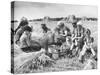 Peasant Farmers Eating Lunch in Wheat Fields-null-Stretched Canvas