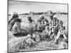 Peasant Farmers Eating Lunch in Wheat Fields-null-Mounted Photographic Print