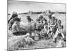 Peasant Farmers Eating Lunch in Wheat Fields-null-Mounted Photographic Print