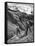 Peasant Farmers Haymaking at the Glacier Foot, Switzerland, 1936-F Hutzli-Framed Stretched Canvas