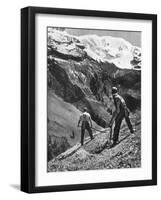 Peasant Farmers Haymaking at the Glacier Foot, Switzerland, 1936-F Hutzli-Framed Giclee Print