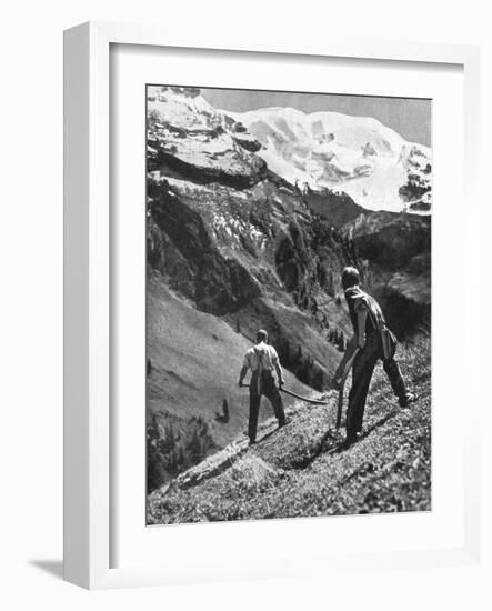 Peasant Farmers Haymaking at the Glacier Foot, Switzerland, 1936-F Hutzli-Framed Giclee Print