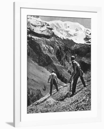 Peasant Farmers Haymaking at the Glacier Foot, Switzerland, 1936-F Hutzli-Framed Giclee Print