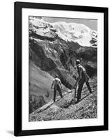 Peasant Farmers Haymaking at the Glacier Foot, Switzerland, 1936-F Hutzli-Framed Giclee Print