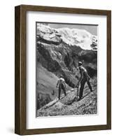 Peasant Farmers Haymaking at the Glacier Foot, Switzerland, 1936-F Hutzli-Framed Giclee Print