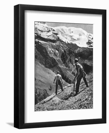 Peasant Farmers Haymaking at the Glacier Foot, Switzerland, 1936-F Hutzli-Framed Premium Giclee Print