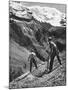 Peasant Farmers Haymaking at the Glacier Foot, Switzerland, 1936-F Hutzli-Mounted Giclee Print