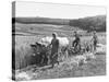 Peasant Farmers Working in Wheat Fields-null-Stretched Canvas