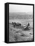 Peasant Farmers Working in Wheat Fields-null-Framed Stretched Canvas