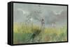 Peasant Girls in a Poppy Field watercolor-Pompeo Mariani-Framed Stretched Canvas