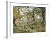 Peasant in Montemurlo Countryside-Telemaco Signorini-Framed Giclee Print