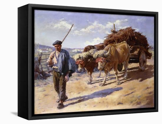 Peasant with His Bullock Cart, Ascain, 1899 (Oil on Canvas)-Stanhope Alexander Forbes-Framed Stretched Canvas