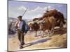 Peasant with His Bullock Cart, Ascain, 1899 (Oil on Canvas)-Stanhope Alexander Forbes-Mounted Giclee Print