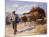 Peasant with His Bullock Cart, Ascain, 1899 (Oil on Canvas)-Stanhope Alexander Forbes-Mounted Giclee Print