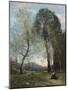 Peasant Woman Collecting Wood, Italy, C. 1870-2-Jean-Baptiste-Camille Corot-Mounted Giclee Print