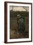 Brown Frame