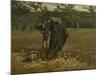 Peasant Woman, Harvesting Potatoes, 1885-Vincent van Gogh-Mounted Giclee Print