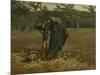 Peasant Woman, Harvesting Potatoes, 1885-Vincent van Gogh-Mounted Giclee Print