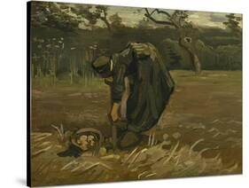 Peasant Woman, Harvesting Potatoes, 1885-Vincent van Gogh-Stretched Canvas