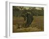 Peasant Woman, Harvesting Potatoes, 1885-Vincent van Gogh-Framed Giclee Print