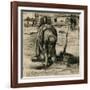 Peasant Woman Planting Potatoes-Vincent van Gogh-Framed Giclee Print