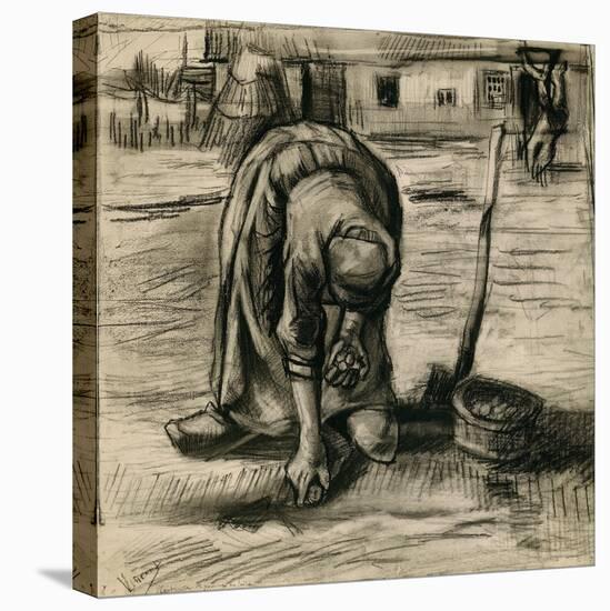 Peasant Woman Planting Potatoes-Vincent van Gogh-Stretched Canvas