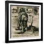 Peasant Woman Planting Potatoes-Vincent van Gogh-Framed Premium Giclee Print