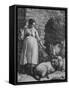 Peasant Woman Spinning Wool from Her Sheep and Goats-null-Framed Stretched Canvas