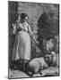 Peasant Woman Spinning Wool from Her Sheep and Goats-null-Mounted Photographic Print