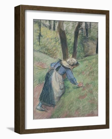 Peasant Woman Weeding the Grass (Pastel Heightened in Places with a Pink Wash)-Camille Pissarro-Framed Giclee Print