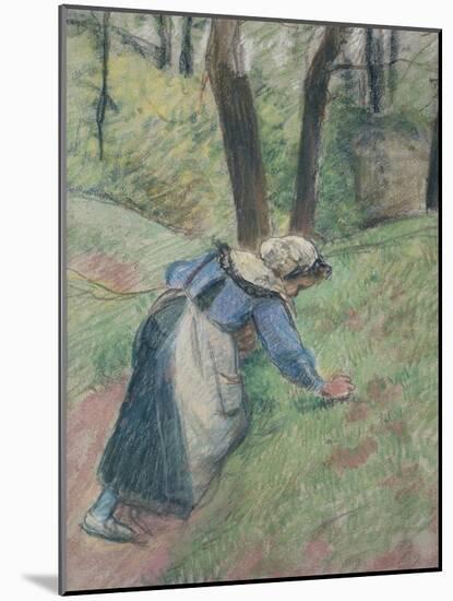 Peasant Woman Weeding the Grass (Pastel Heightened in Places with a Pink Wash)-Camille Pissarro-Mounted Giclee Print