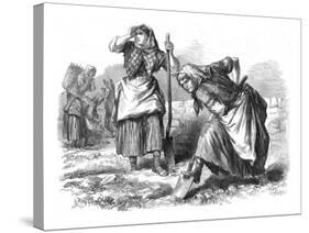 Peasant Women in Roscommon, Ireland, Working in the Field Digging the Earth with Shovels-null-Stretched Canvas